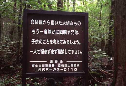 Aokigahara - suicide forest
