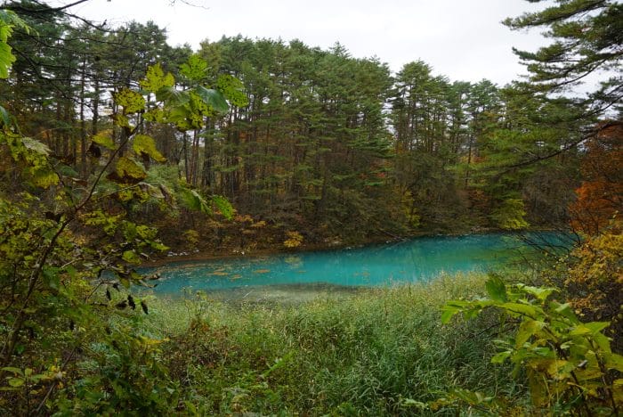 Aonuma Pond
