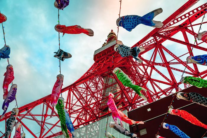 Carp streamers