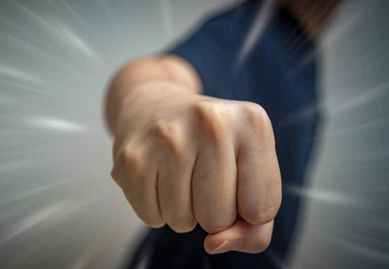 fist