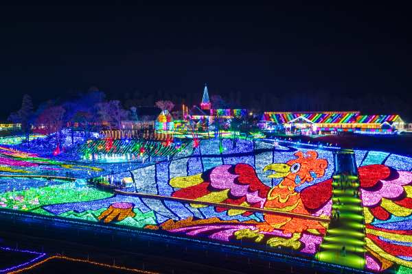 The illumination festival in Tokyo's German Town (ドイツ村), Chiba Prefecture.