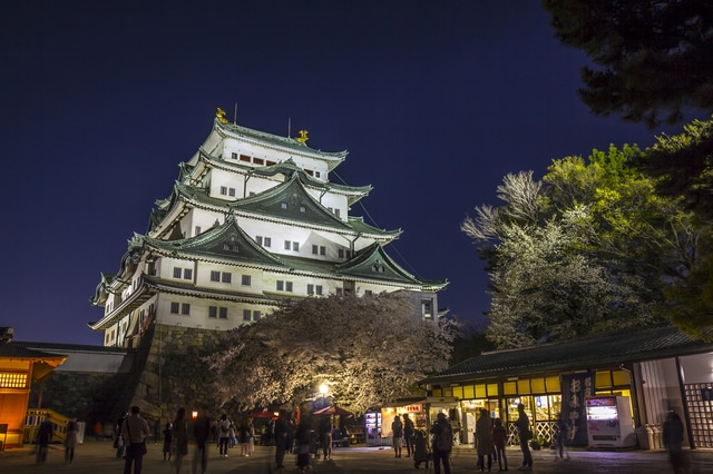Nagoya castle.