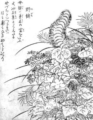 Hyakki yagyou: Nozuchi