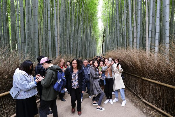 Tourists in Kyoto's Bamboo Forest