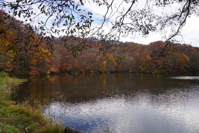 A pond in Ura Bandai