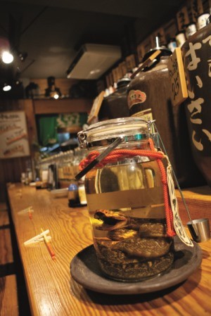 Habushu  -pit viper in Japanese booze (awamori)