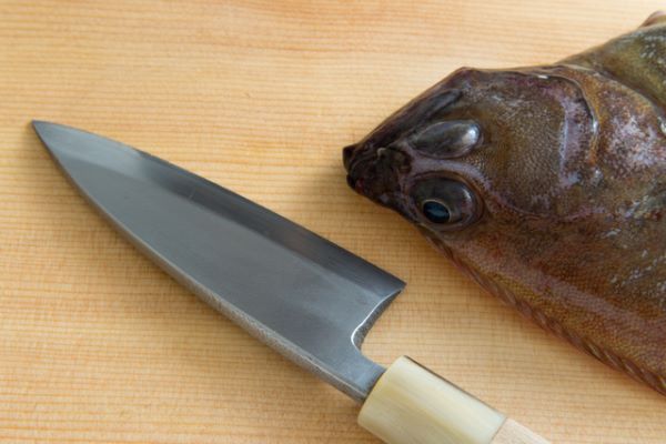Fish and a knife