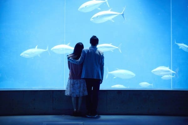 Couple at aquarium