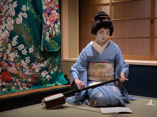 Japanese geisha esthetics: A maiko tunes an instrument