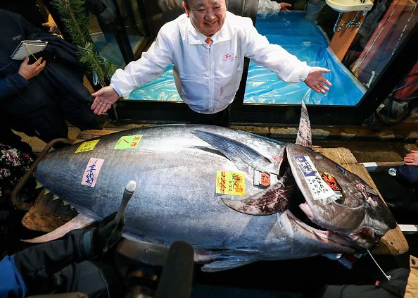 Kimura Kiyoshi with giant fish