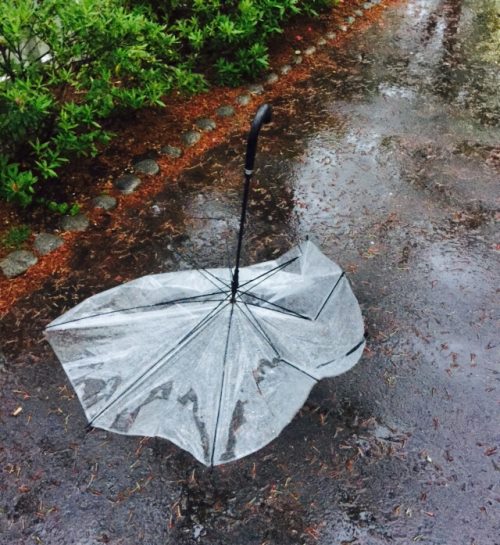 Broken vinyl umbrella in Tokyo