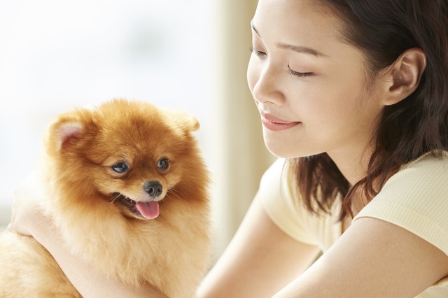 Happy dog and happy owner