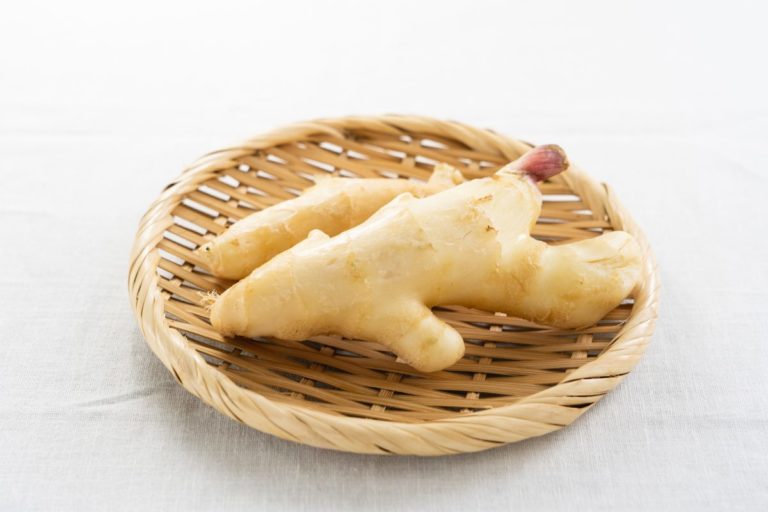 Ginger