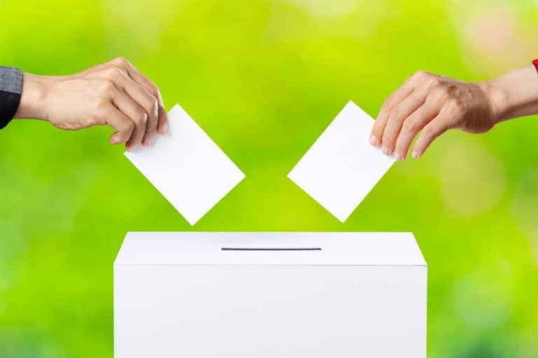 Voting