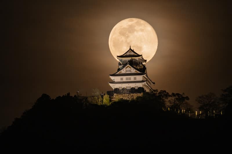 Castle in  moonlight