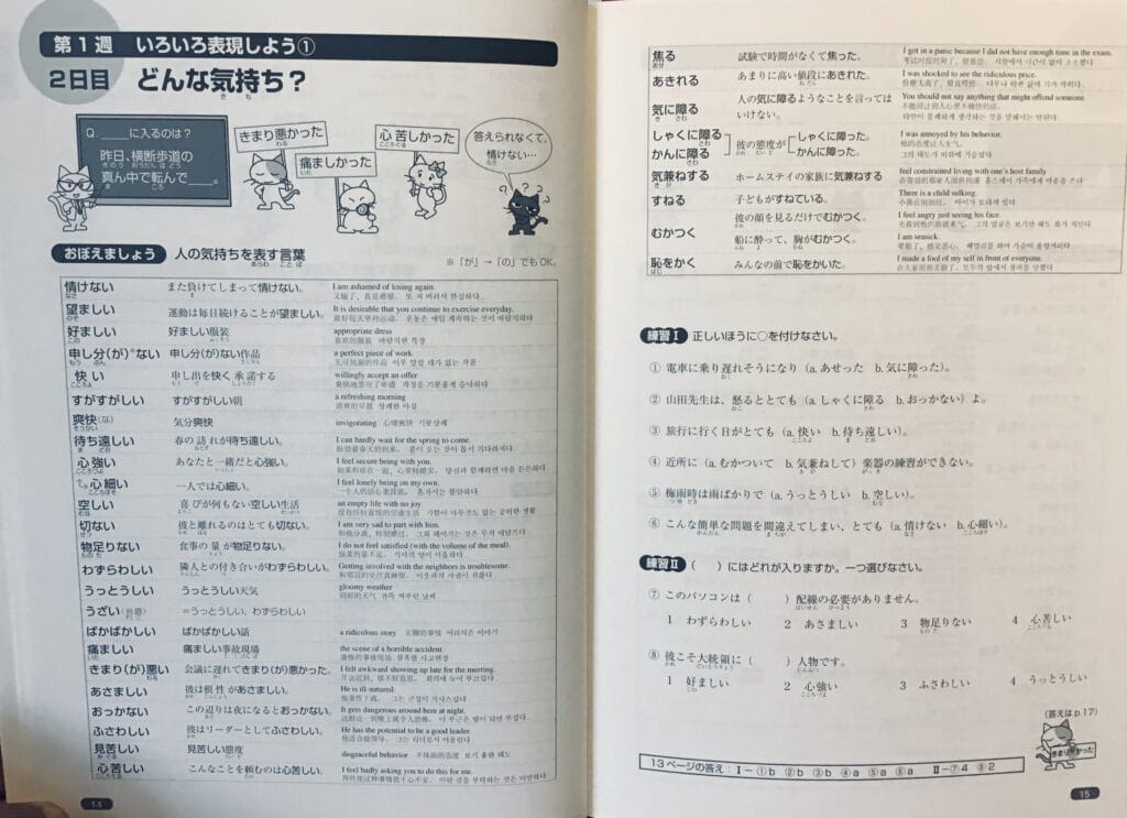 Nihongo Sou-Matome lesson example.