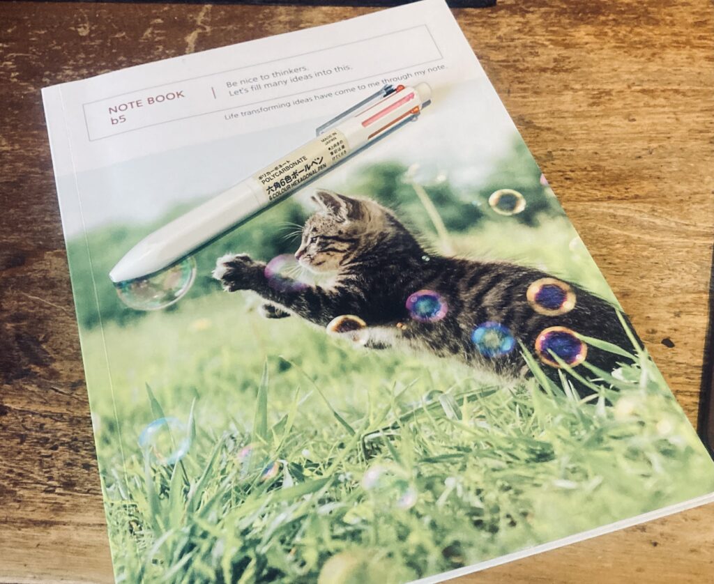 Never underestimate the power of a colorful pen and a notebook with an adorable kitty on it!