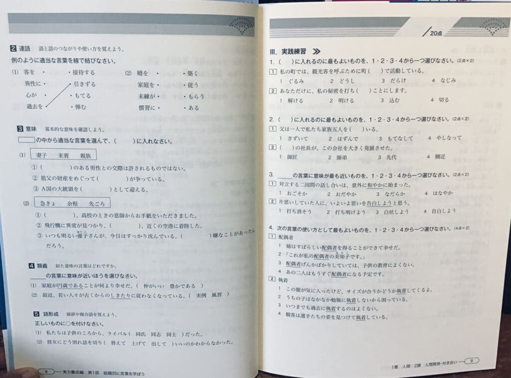 Shin-kanzen practice question examples