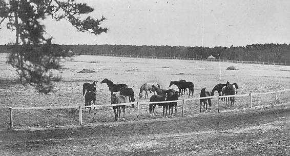 The Imperial stables at Sanrizuka, which are now in large part covered by Narita Airport.