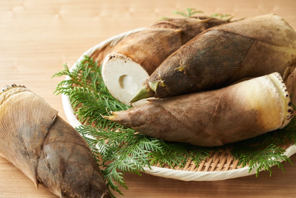 Bamboo shoots on a bamboo draining basket. Bamboo shoots are a viable forage food in Japan.