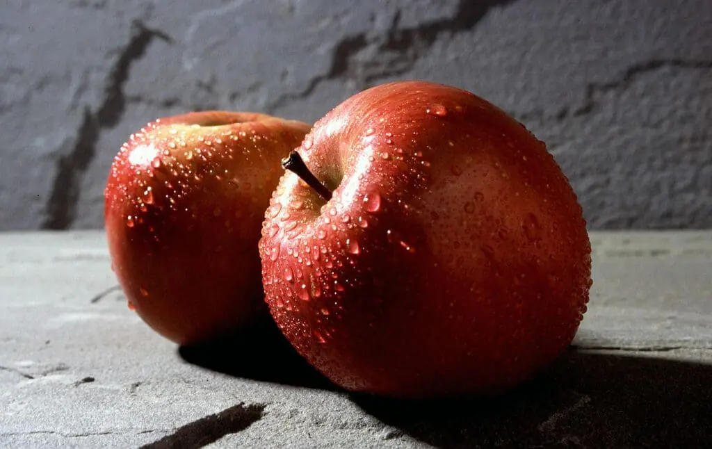 Samurai Cultivator: The Birth of Modern Apple Cultivation in Japan