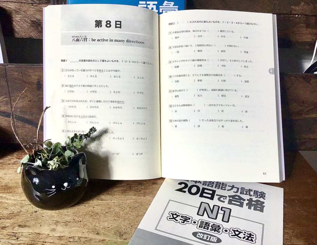 JLPT in 20 days review guide