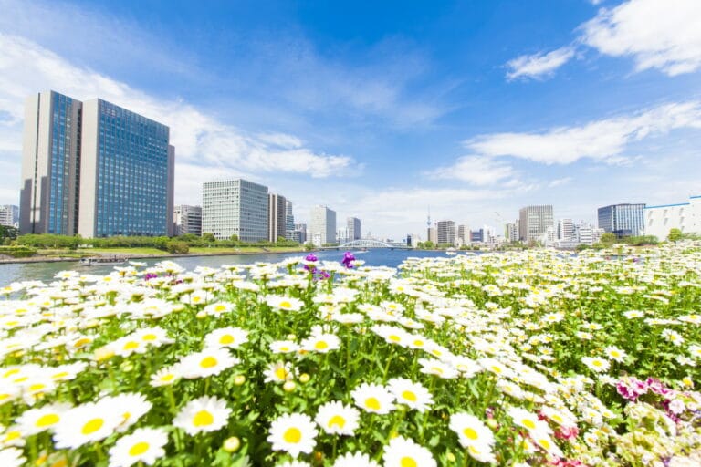 Nature in Japan: Nature in the big city