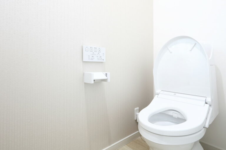 Toilet seat in Japan