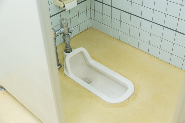 Japanese style toilet