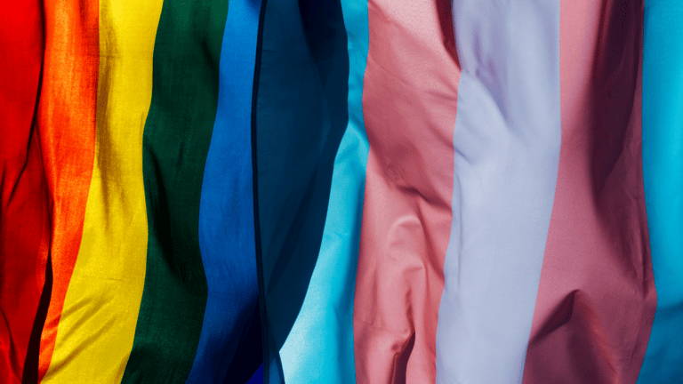 Transgender flag