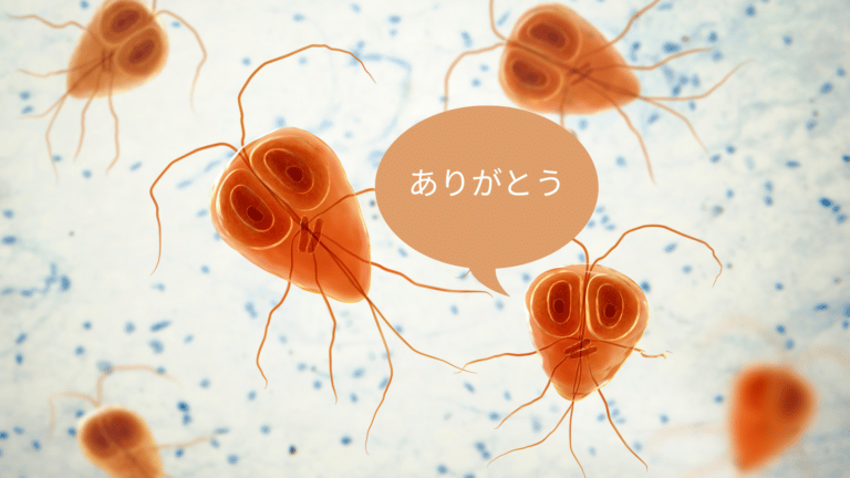 Parasites - Meguro Parasitological Museum