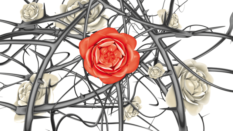 Thorns and roses - Thorn Puller