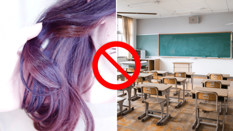 Gyaru model and school