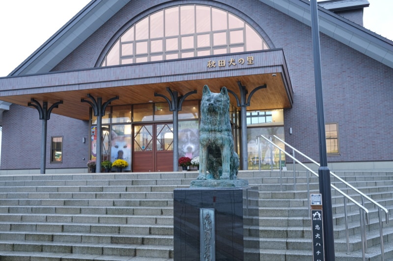 Hachiko statue at Akita Inu no Sato