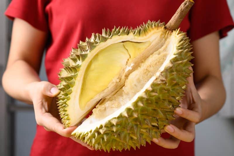 Durian fruit