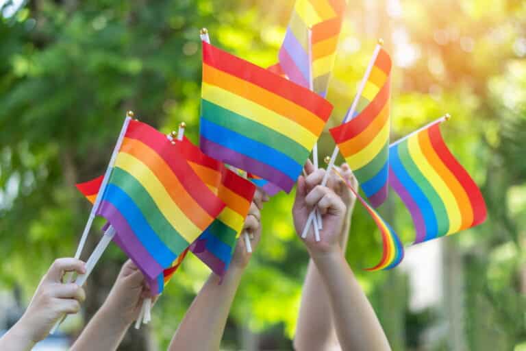 LGBTQ+ flags