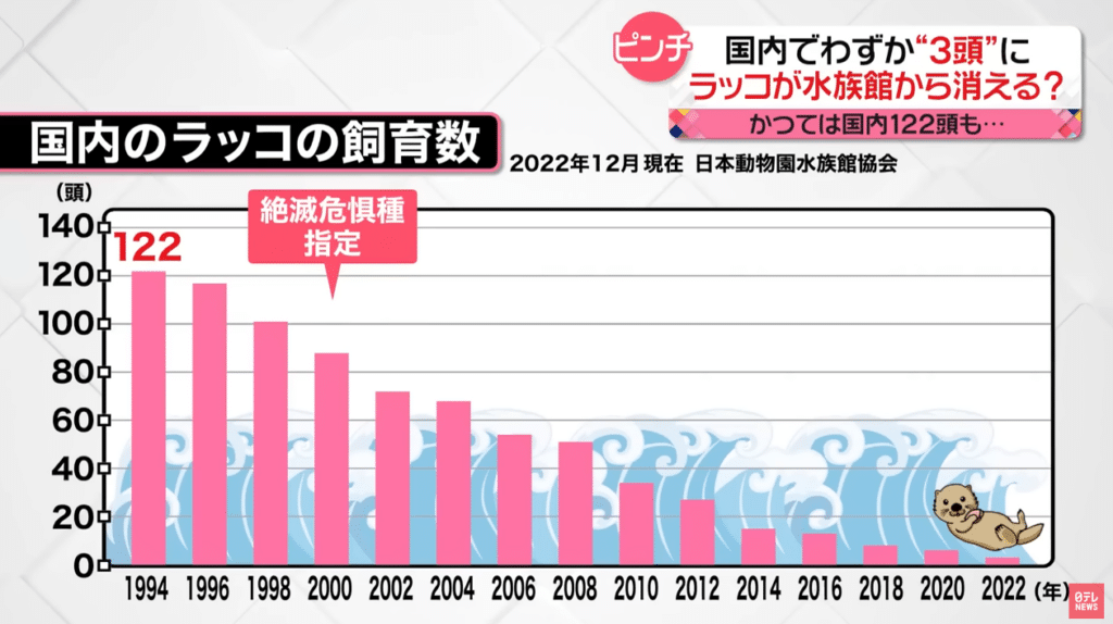 Japan's sea otter population declining