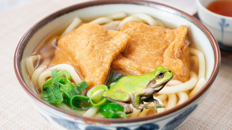 Frog infestation in Japanese salad and udon