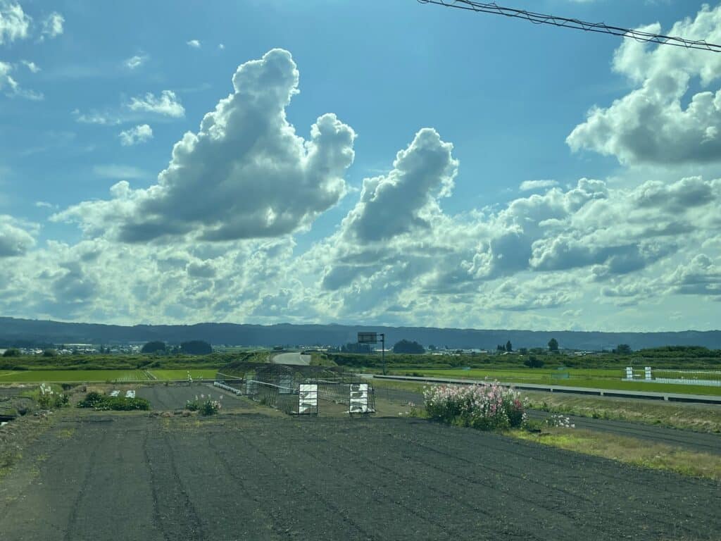 Farmland in Aizu, near the Food Camp location. Blue skies, black earth, and a few pink flowers are visable.