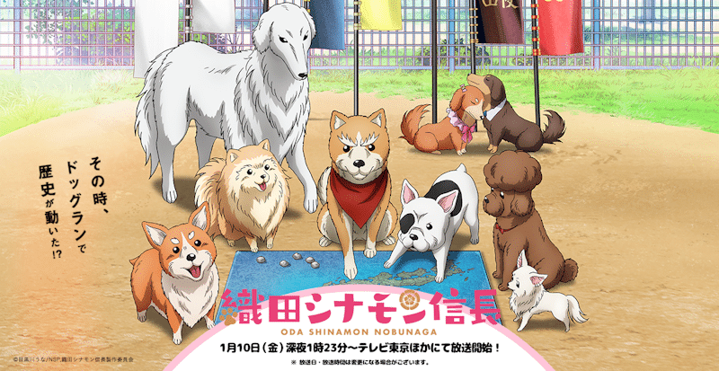 Oda Nobunaga as a fearless (but still cute) shiba inu in Oda Cinnamon Nobunaga.