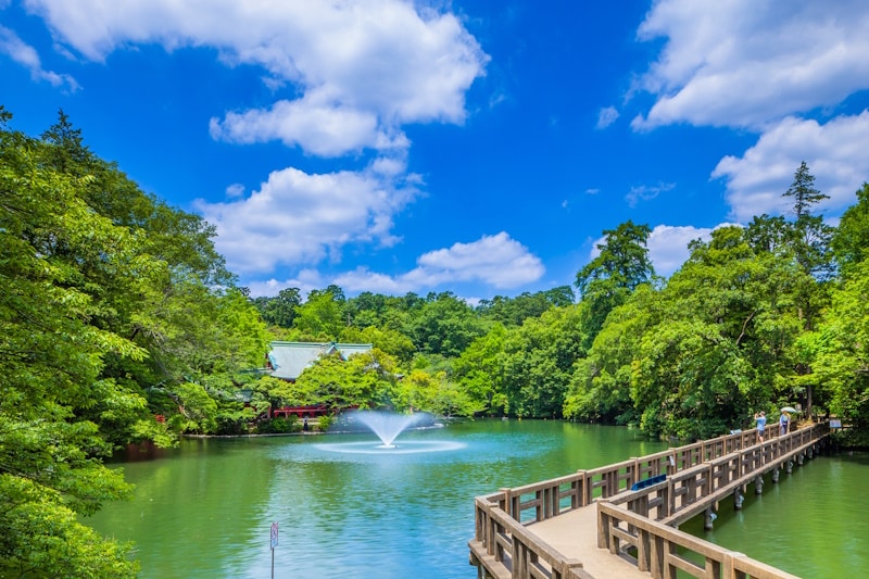 Inogashira Park (井之頭公園), between Musashino and Mitaka