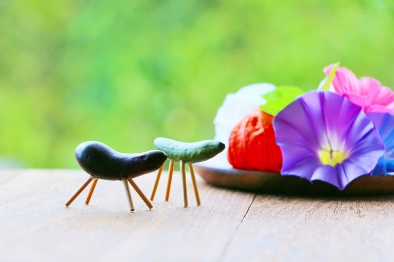 Cucumber horses and eggplant cattle - Obon in Japan