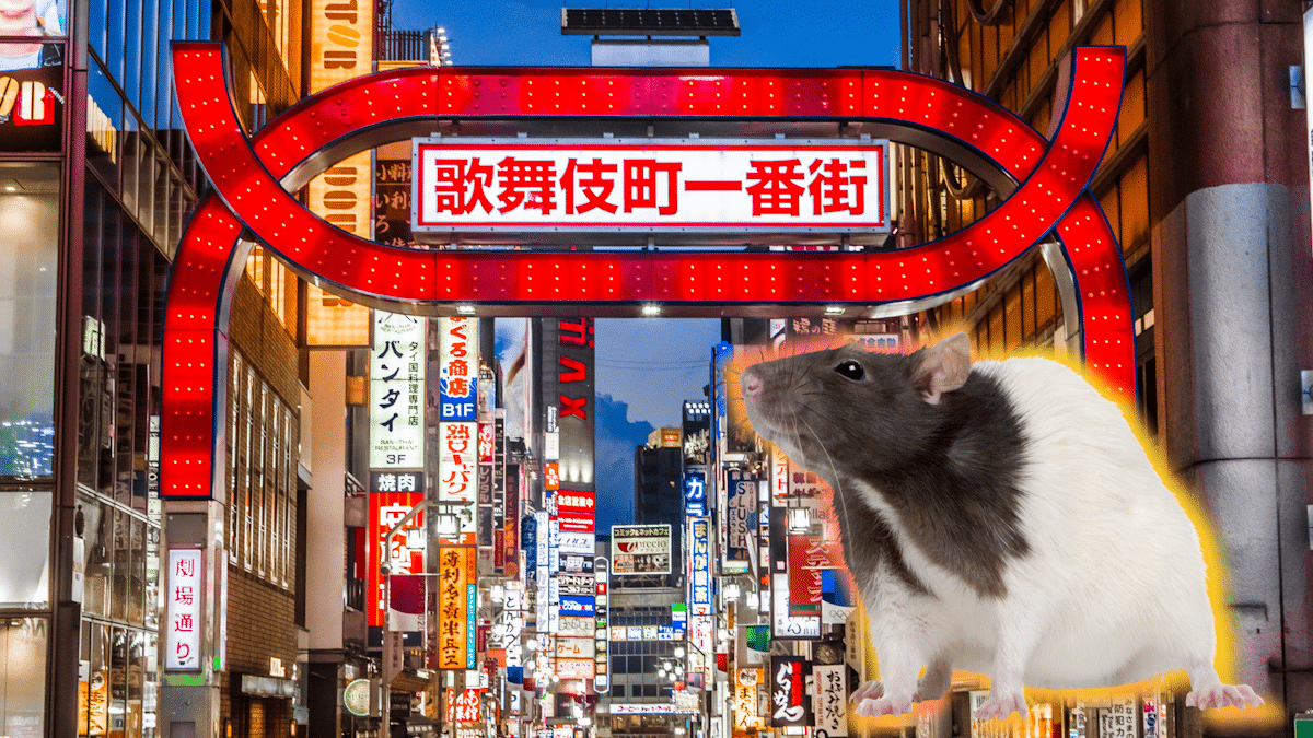 Tokyo's Kabukicho is Infested With Rats. No, We Mean, Literally ...