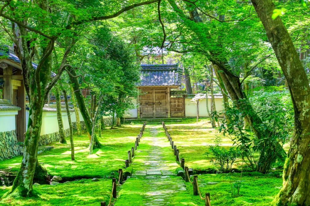 Kokedera (the Moss Temple), Saihouji, Kyoto, Japan