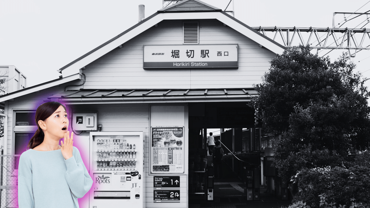 Ghost subway stations