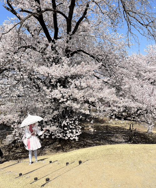 Yatsushiro Furusato Park