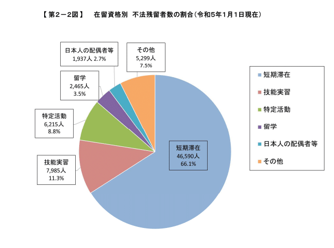A chart detailing how many people in Japan overstayed their visas. Short-term visitors dominate the statistics at 66.1%.