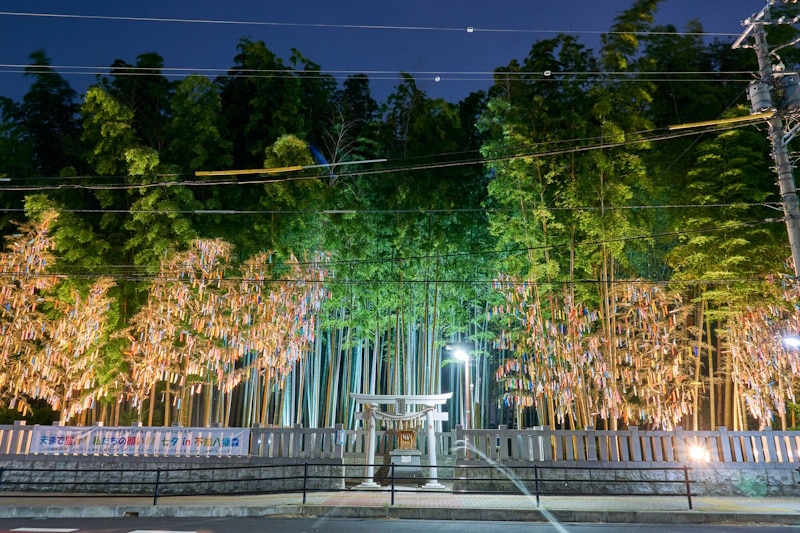 Yawata no Yabushirazu