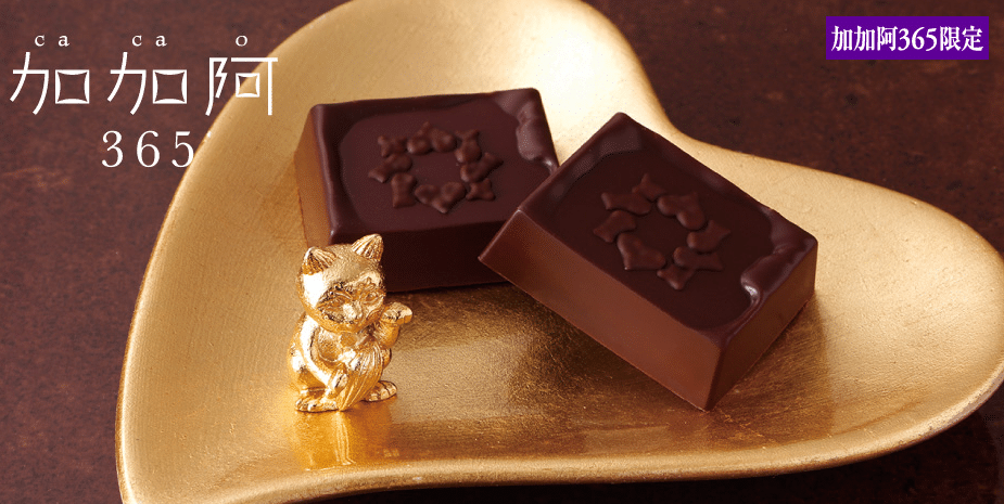 Cacao 365 from Malebranche, Kyoto