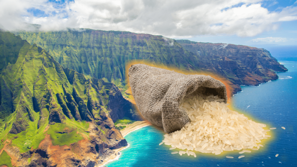 Japanese tourists bringing rice to Hawaii